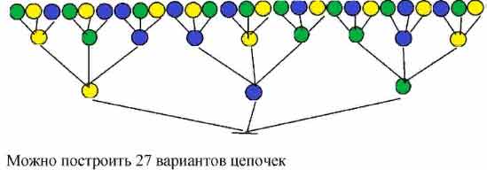 Построить цепочку