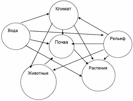 Установите взаимосвязь. Взаимосвязь компонентов природного комплекса схема. Составьте схему взаимосвязь природных компонентов. 1. Составьте схему «взаимосвязь природных компонентов»:. Схема взаимосвязей между компонентами природного комплекса.