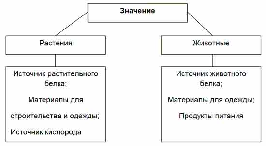 Дополните схему значение растений в жизни человека