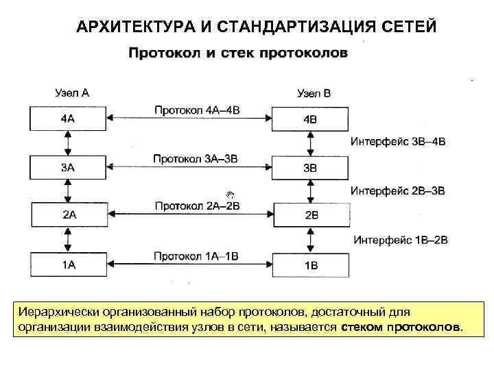 Сеть этап. Архитектура и стандартизация сетей. Архитектура протоколов. Стандартизация сетевых технологий. Организации по стандартизации сетей.