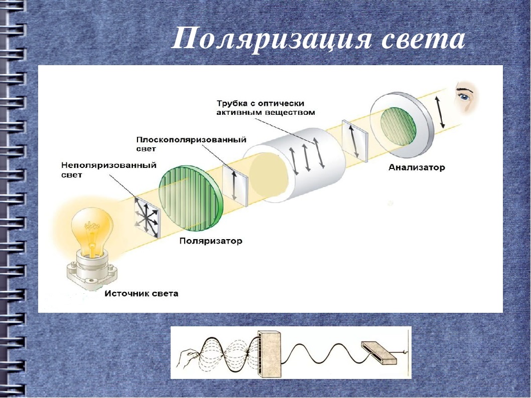 Поляризация. Поляризация света. Поляризация светсвета. Поляризатор света. Поляризация света физика.