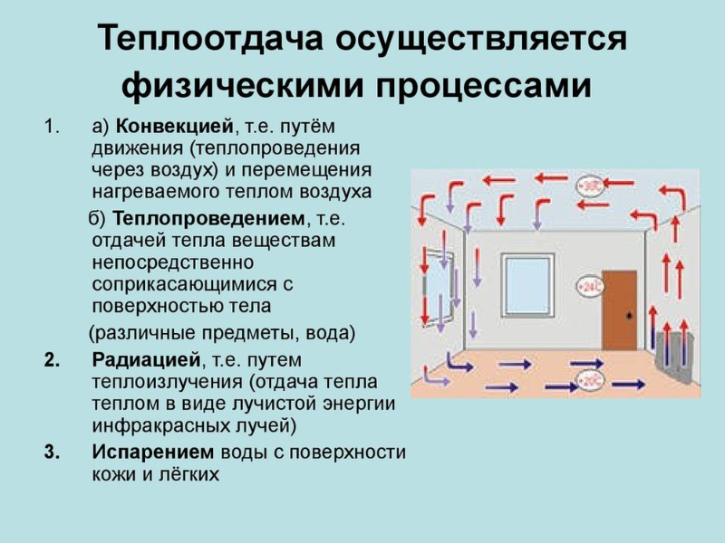 Суть процесса теплопередач. Теплоотдача осуществляется за счет физических процессов. Теплоотдача конвекцией это. Отдача тепла путем конвекции. Определить потерю теплоты конвекцией.